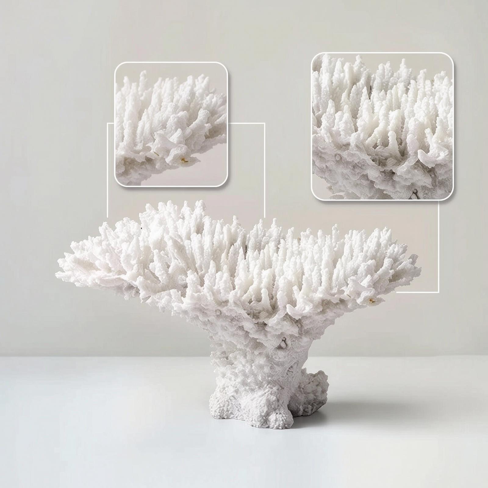 Coral Simulation Display Textu - đánh giá và giá Home Decor Simulator