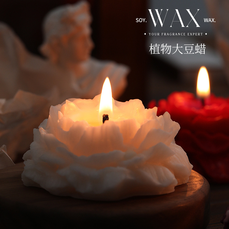 Camellia scented candles simpl - đánh giá và giá Home Decor Yoga